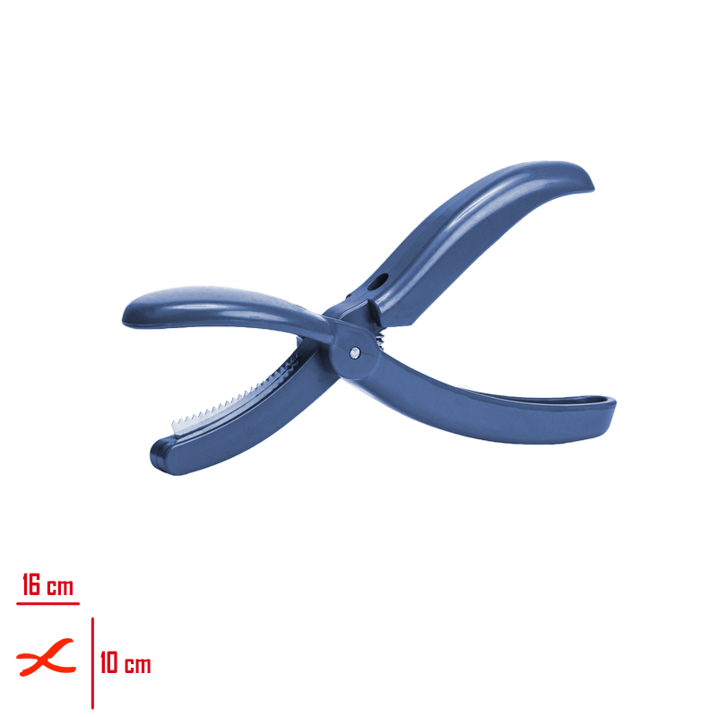 SUN KESTANE CIZICI SC-2408 - 