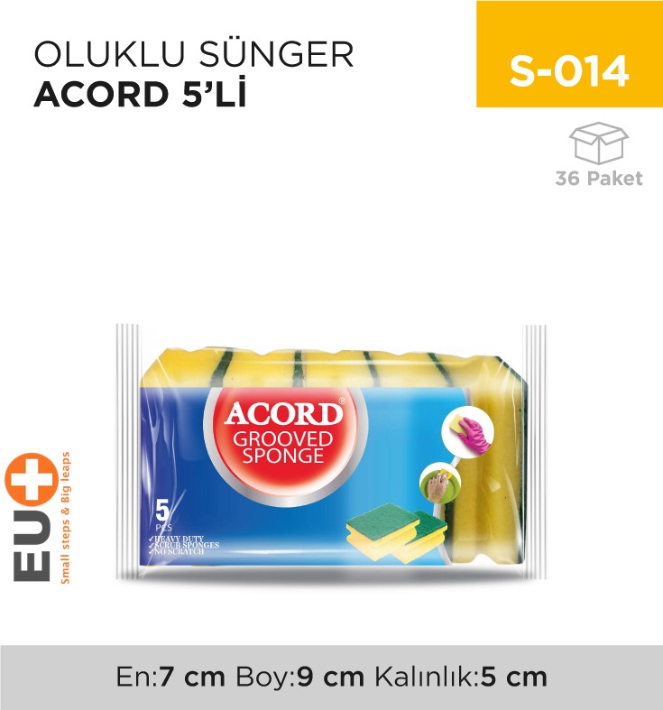 OLUKLU SÜNGER ACORD 5Lİ (521)