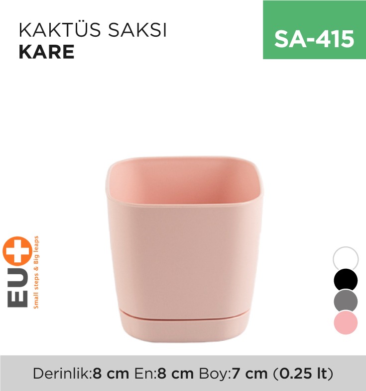KAKTÜS SAKSI KARE (0.25 LT)